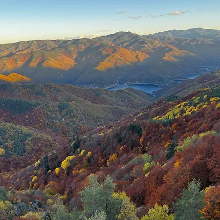 ヴィラ равногор парадайс